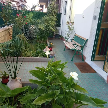 Homestay Guest house *